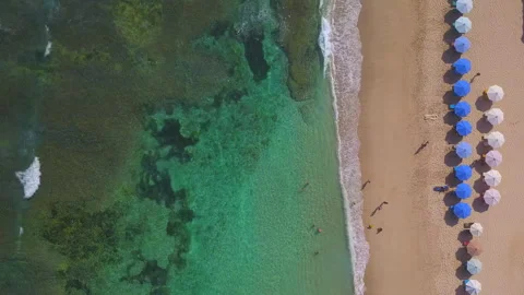 Summer time under umbrellas Video stock 172038600