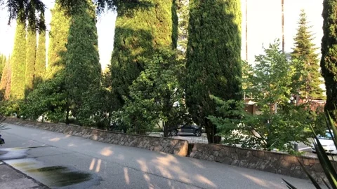 Summer time walking path no people, lockdown town Stock Footage 136217984