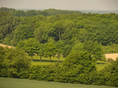 Summer time in westphalia Foto stock