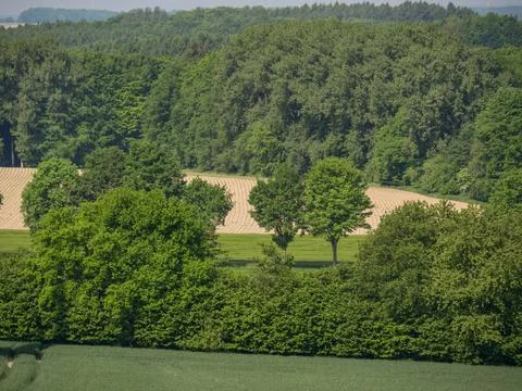 Summer time in westphalia Foto stock