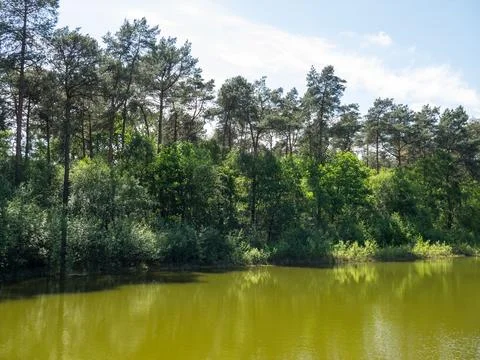 Summer time in westphalia Foto stock