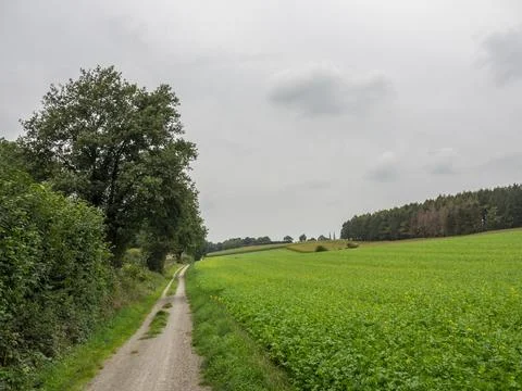 Summer time in westphalia Stock Photos