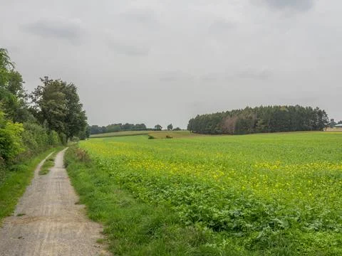 Summer time in westphalia Foto stock