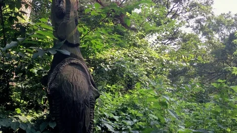 Summer totem pole: Vidéo 80191389