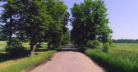 A summer track surrounded by trees Stock Footage 76792929