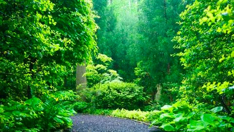 Summer Trail Stock Photos