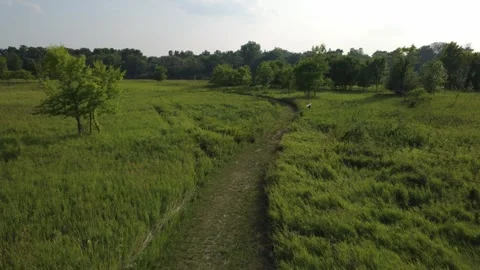 Summer trail road Stock Footage 313713281