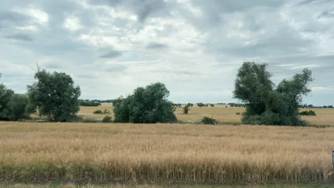 Summer Train Ride in Germany Stock Footage 202792793