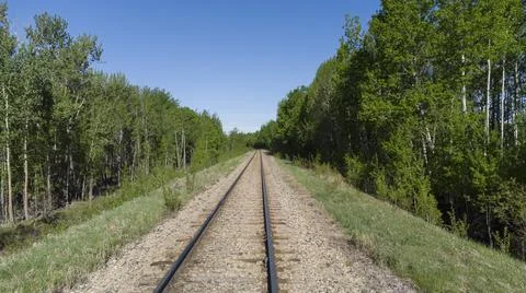 SUMMER TRAIN TRACKS Stock Photos
