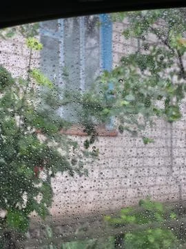 Summer tree branches against urban architecture 스톡 사진
