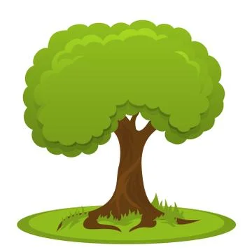 Summer tree with flat crown Stock Illustration