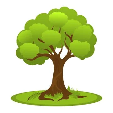 Summer tree with flat crown Stock Illustration