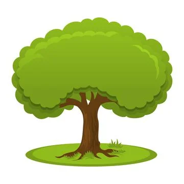 Summer tree with flat crown Illustrazione stock