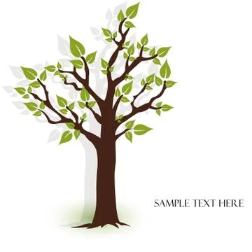 Summer tree Stock Illustration
