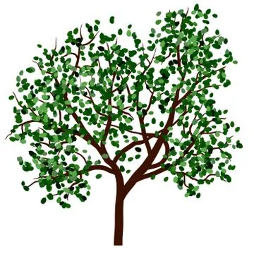 Summer tree Stock Illustration