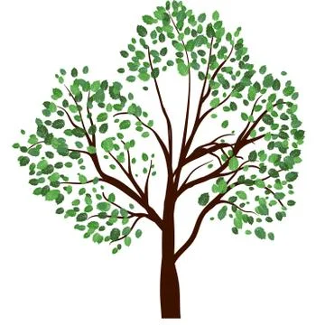 Summer tree Stock Illustration