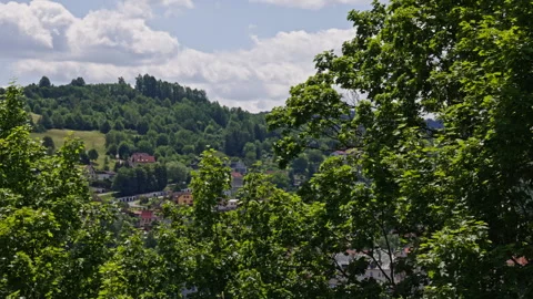 Summer Trees Framing the Hillside Homes in Český Krumlov Stock Footage 313387301