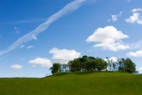 Summer trees Foto stock