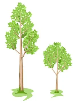 Summer. Trees set Stock Illustration