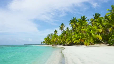Summer trip to the beaches of Punta Cana Dominican Republic. Palm trees sand sky Stock Footage 135174678