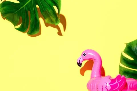Summer tropical background with a copy space for a text Stock Photos