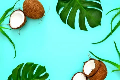 Summer tropical background Stock Photos