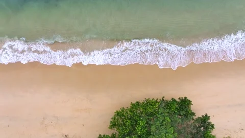 The Summer tropical Beach Stock Footage 199592541