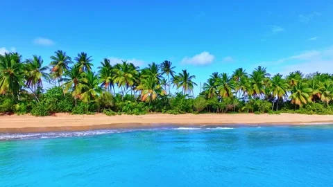Summer tropical beach with palm trees hanging over turquoise sea Video stock 285167422