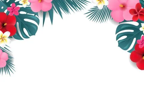 Summer Tropical Border White background Stock Illustration