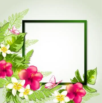 Summer tropical frame Stock Illustration