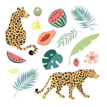 Summer tropical graphic elements. Leopard cats animals. Jungle floral Stock Illustration