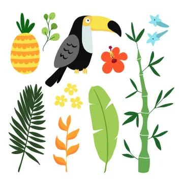 Summer tropical graphic elements. Toucan bird. Jungle floral illustrations, palm Illustrazione stock