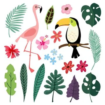 Summer tropical graphic elements. Toucan and flamingo birds. Jungle floral Stock Illustration