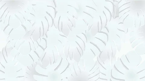 Summer Tropical Leaf background. White Paper cut style. Stock Footage 78590439