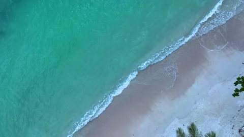 Summer tropical with sand beach background Video stock 238524465