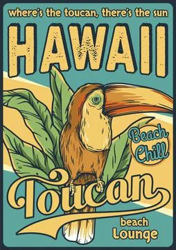 Summer tropical toucan hawaii poster. Beach lounge Stock Illustration