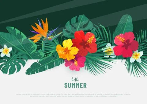 Summer tropical vector background. Flat lay geometric tropic design with exotic Stock Illustration
