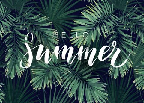 Summer tropical vector calligraphy design with exotic dark green palm leaves on Stock Illustration