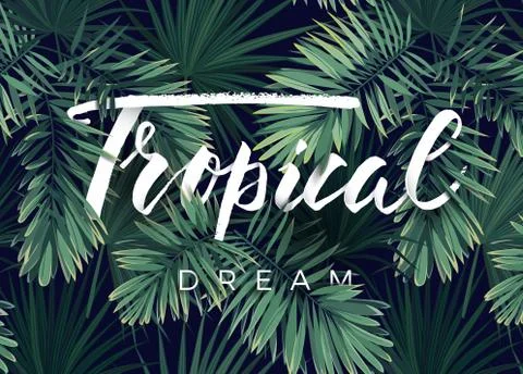 Summer tropical vector design for banner or flyer with dark green palm leaves Stock Illustration