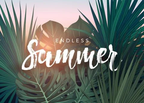Summer tropical vector design for banner or flyer with dark green palm leaves 库存插图