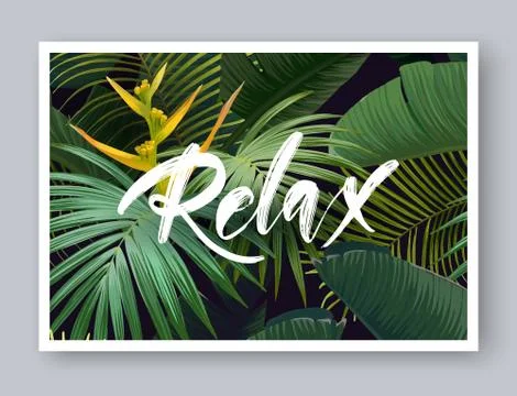 Summer tropical vector design for banner or flyer with dark green palm leaves 库存插图