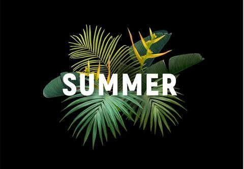 Summer tropical vector design for banner or flyer with exotic palm leaves Stock Illustration