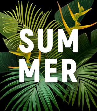 Summer tropical vector design for banner or flyer with exotic palm leaves Stock Illustration