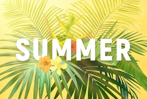 Summer tropical vector design for banner or flyer with exotic palm leaves Stock Illustration