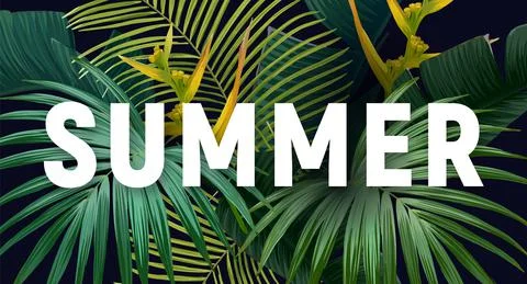 Summer tropical vector design for banner or flyer with exotic palm leaves Stock Illustration