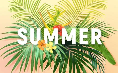 Summer tropical vector design for banner or flyer with exotic palm leaves Stock Illustration
