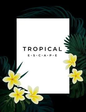 Summer tropical vector design for banner or flyer with dark green palm leaves Stock Illustration
