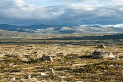 Summer tundra Stock Photos
