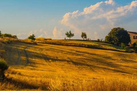 Summer in Tuscany Stock Photos