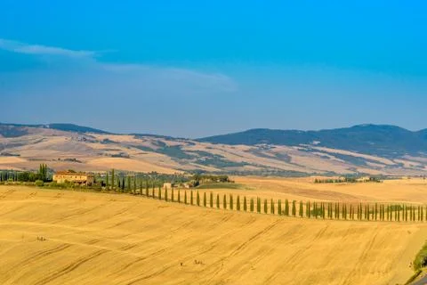 Summer in Tuscany Stock Photos